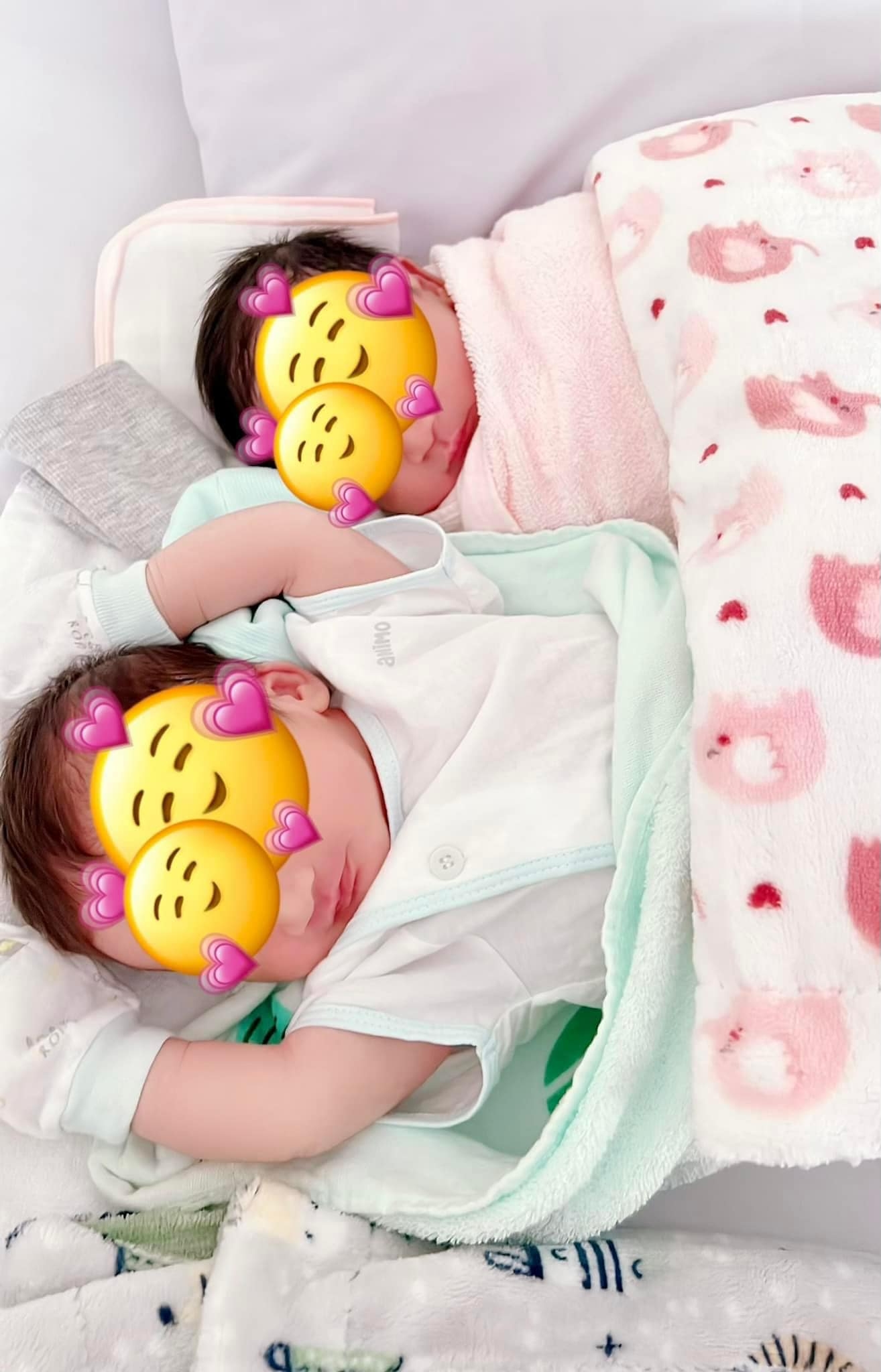 Lâm Khánh Chi nhận hai bé sinh đôi nhà Hà Trí Quang - Thanh Đoàn làm con nuôi