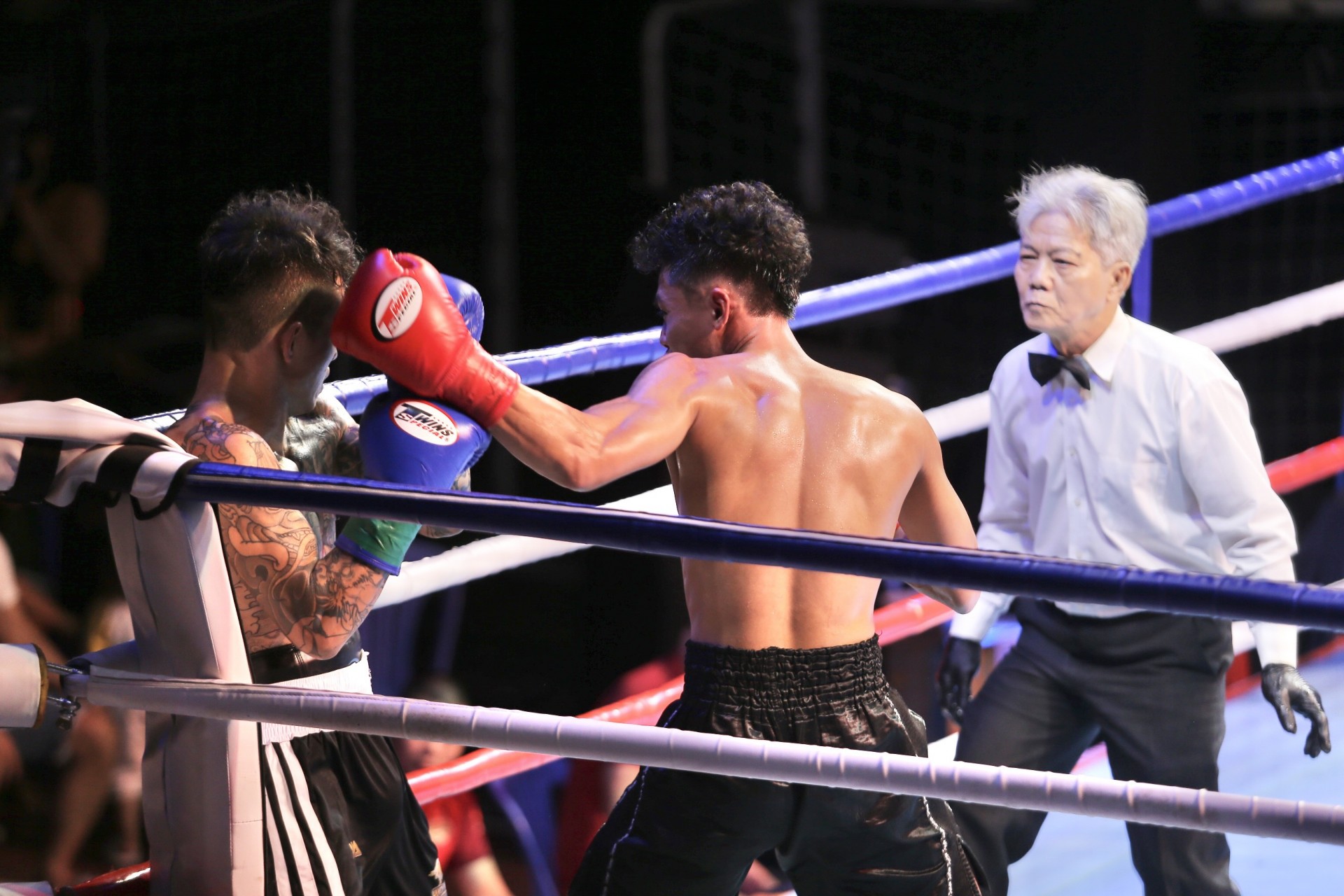 TP.HCM mở hàng võ thuật đầu năm với Giải Boxing Ngôi sao Gia Định mở rộng