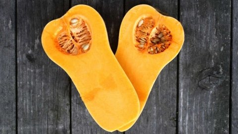 5 lợi ích sức khỏe tiềm năng của bí nghệ bạn chắc chắn không muốn bỏ qua
