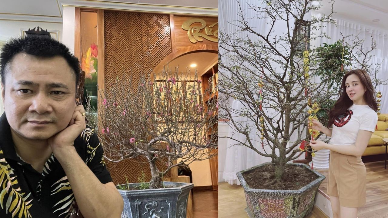 Loạt sao Việt trang hoàng mai, đào cỡ ‘khủng’ trang trí nhà đón Tết Quý Mão