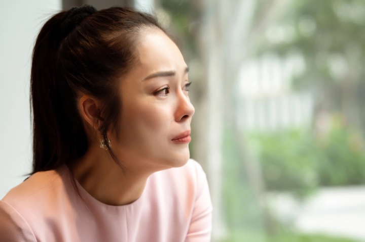 Dương Cẩm Lynh: Từ giàu sang đến trắng tay, vỡ nợ - 5