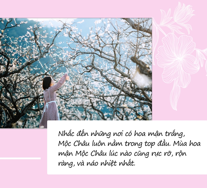 Mùa hoa: Mê mẩn ngắm ‘bông tuyết trắng’ nở rợp trời rẻo cao ảo diệu như cõi tiên - 4