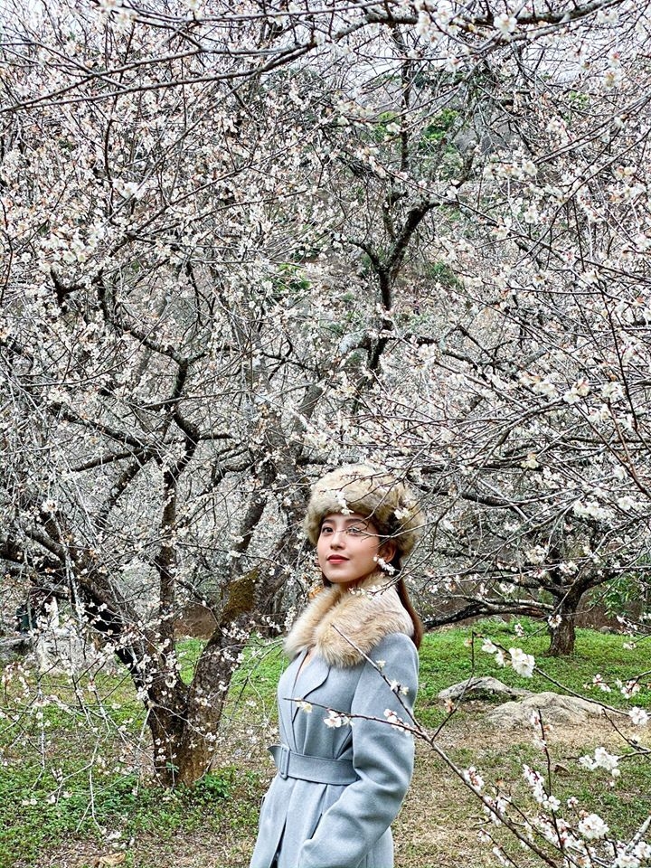 Mùa hoa: Mê mẩn ngắm ‘bông tuyết trắng’ nở rợp trời rẻo cao ảo diệu như cõi tiên - 6